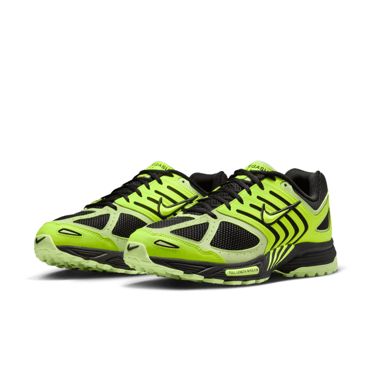 Nike Air Pegasus 2005 Angle 2