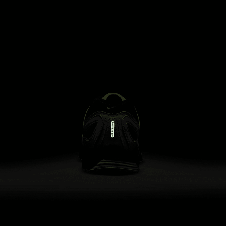 Nike Air Pegasus 2005 Angle 7