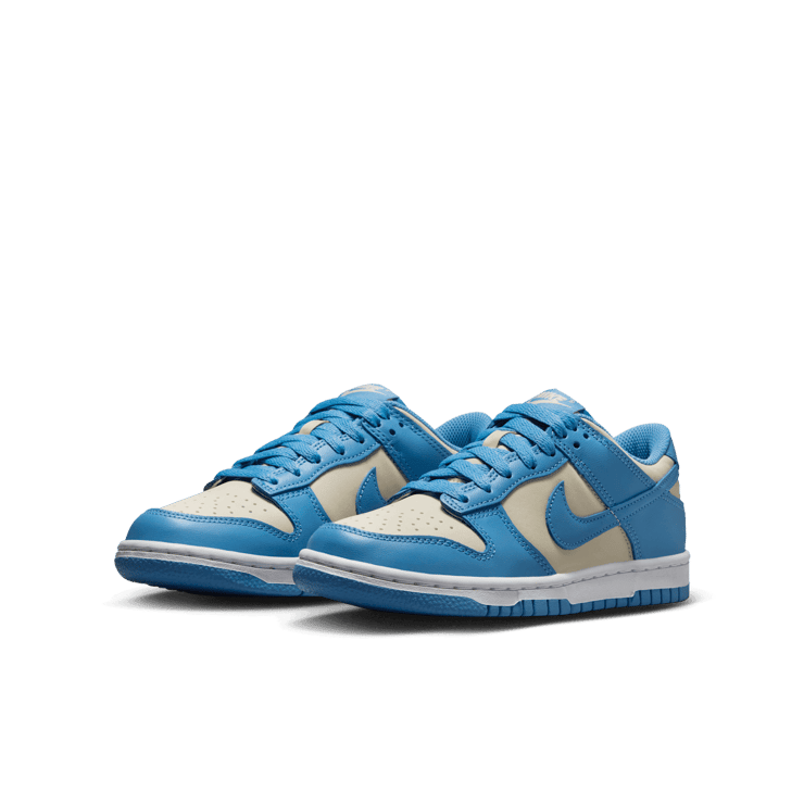 Nike Dunk Low Angle 2