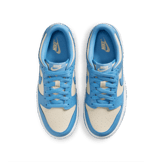Nike Dunk Low Angle 1