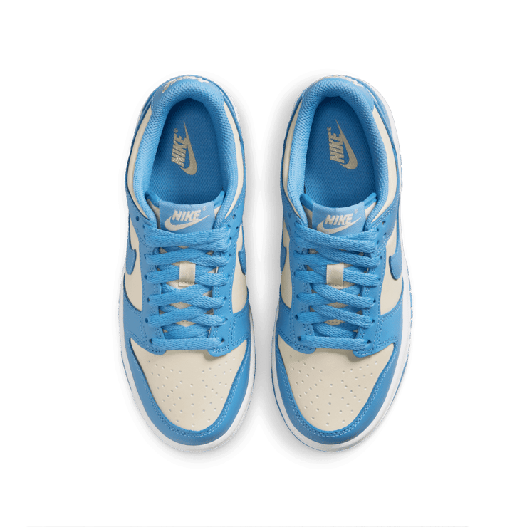 Nike Dunk Low Angle 1