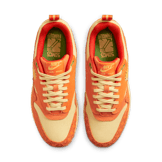 Nike Air Max 1 Premium Somos Familia (W) Angle 1