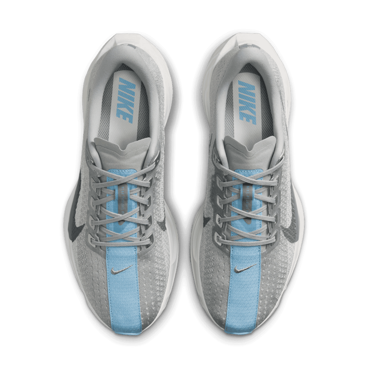 Nike Pegasus Plus Road Angle 1