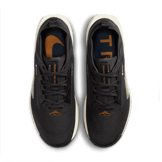 Nike Pegasus Trail 5 GORE-TEX Waterproof Trail Angle 1