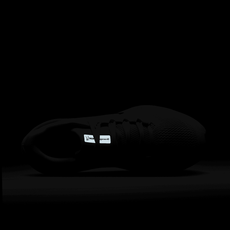 Nike Pegasus 41 Road Angle 7