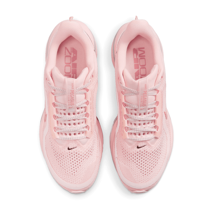 Nike Pegasus Premium Atmosphere (W) Angle 1