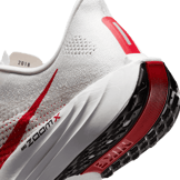Nike Pegasus Plus Road Angle 5