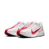 Nike Pegasus Plus Road Angle 2