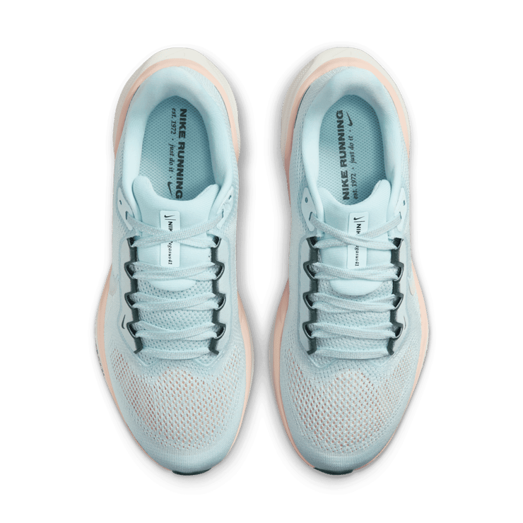 Nike Air Zoom Pegasus 41 Premium 'Glacier Blue Washed Coral' (W) Angle 1