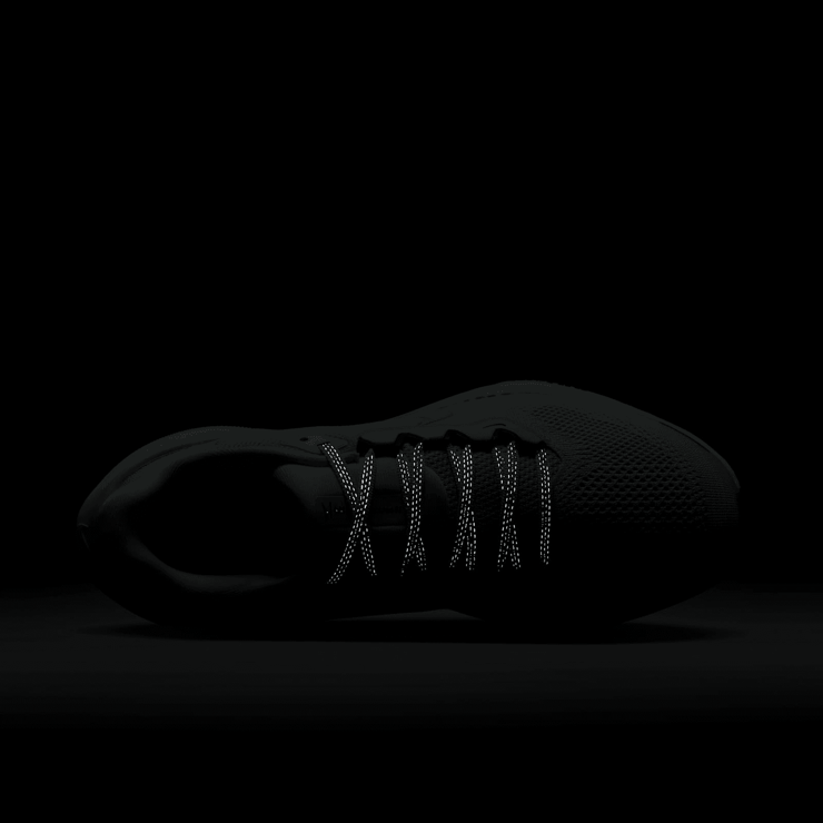 Nike Air Zoom Pegasus 41 Premium 'Glacier Blue Washed Coral' (W) Angle 6