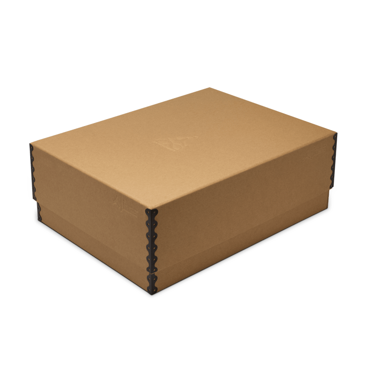 Air Jordan 17 Low Infinite Archives Angle 5