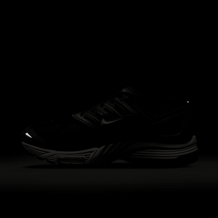 Nike Air Pegasus 2005 Angle 8