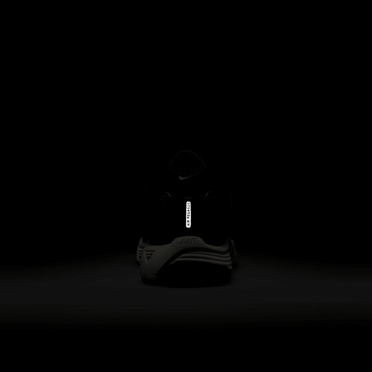 Nike Air Pegasus 2005 Angle 7