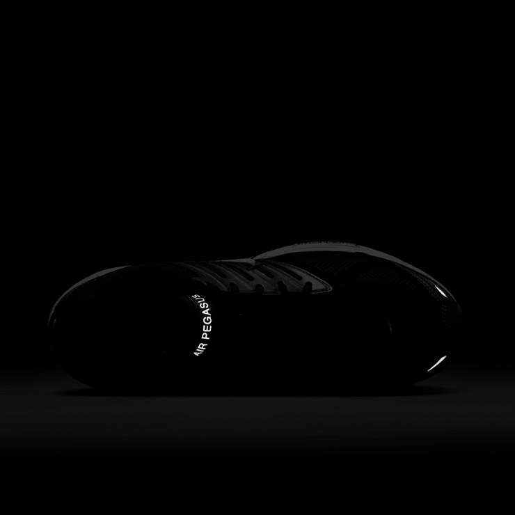 Nike Air Pegasus 2005 Angle 6