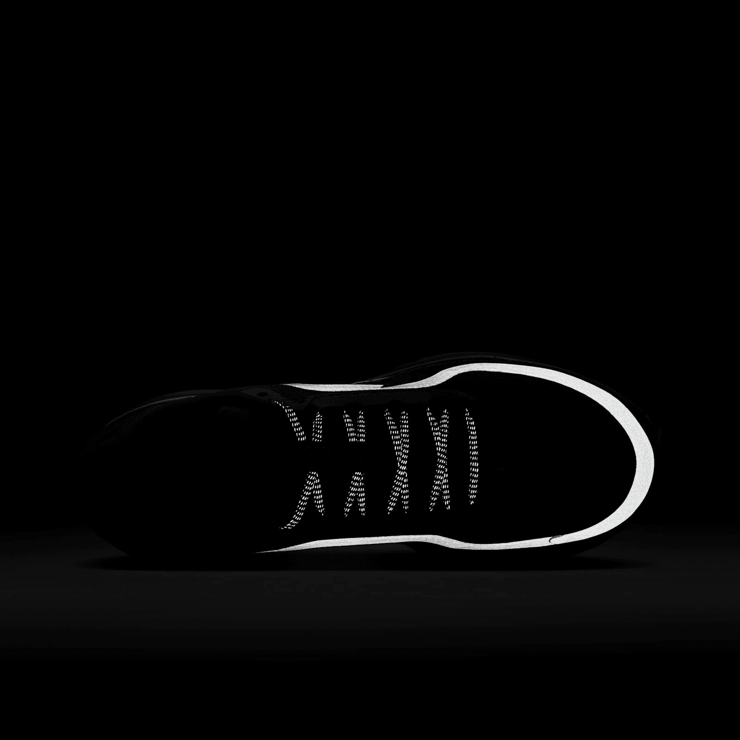 Nike Air Pegasus Premium Black Metallic Silver Angle 6