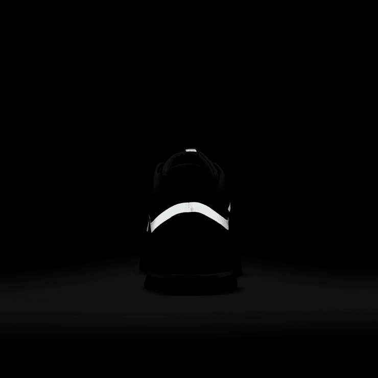 Nike Air Pegasus Premium Black Metallic Silver Angle 7