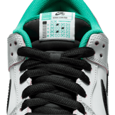 Nike SB Dunk Low College Skateboarding Educational Foundation (CSEF) Angle 6