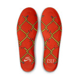 Nike SB Dunk Low College Skateboarding Educational Foundation (CSEF) Angle 9
