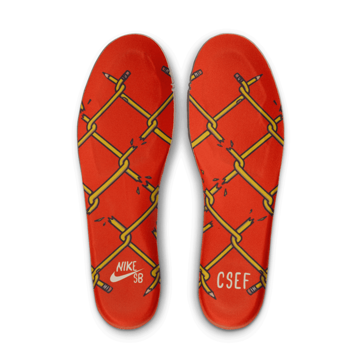 Nike SB Dunk Low College Skateboarding Educational Foundation (CSEF) Angle 9