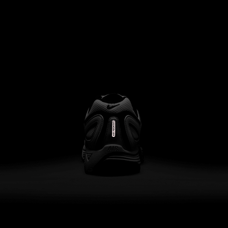 Nike Air Pegasus 2005 Angle 7