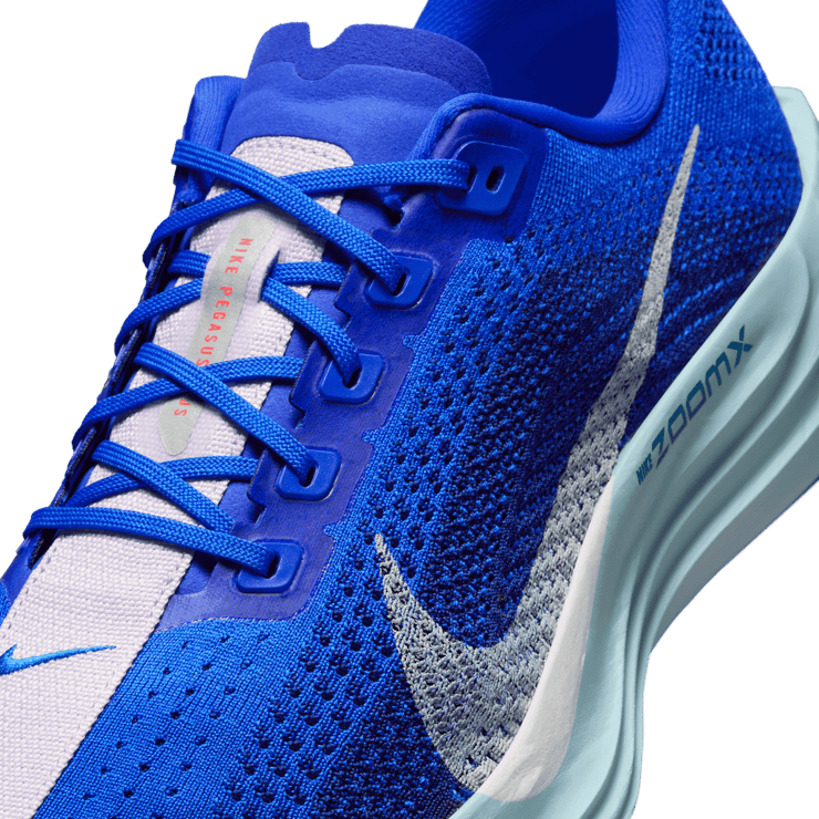 Nike Pegasus Plus Road Angle 4