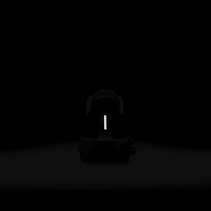 Nike Pegasus Plus Road Angle 7