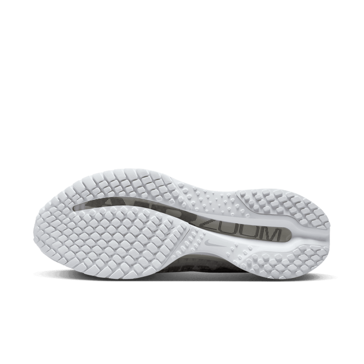 Nike Pegasus Premium White Metallic Angle 0