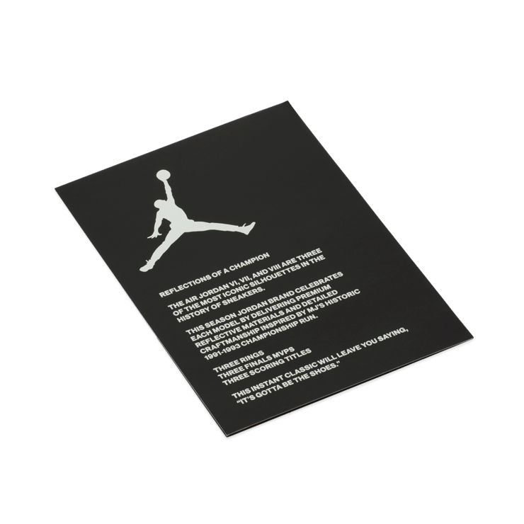 Jordan 8 Retro Reflections of a Champion Angle 8