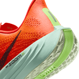 Nike Pegasus Plus Road Angle 5