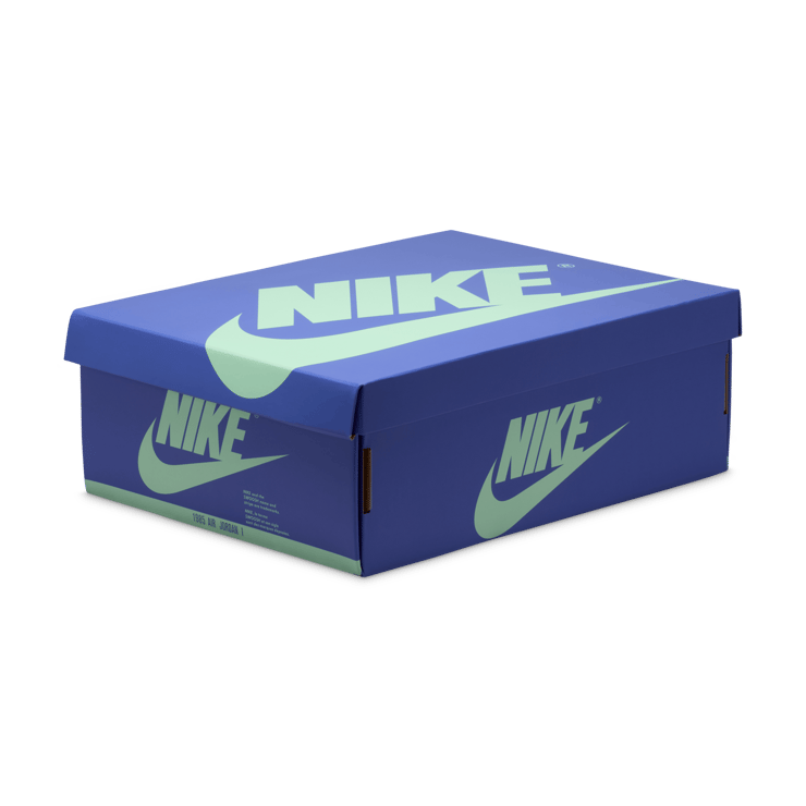 Air Jordan 1 Retro Low OG Zion Williamson Voodoo Regency Purple (GS) Angle 2