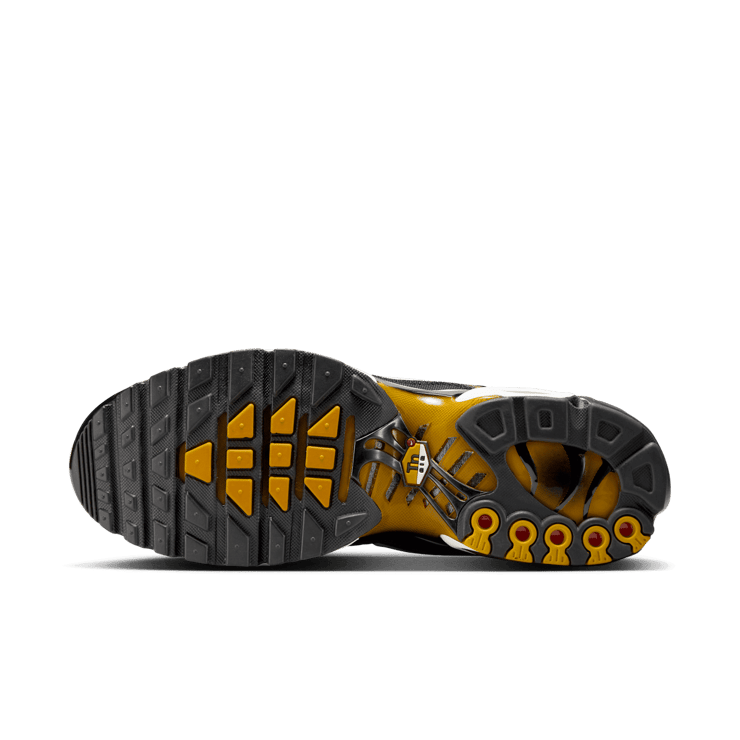 Nike Air Max Plus 'Black University Gold' Angle 0