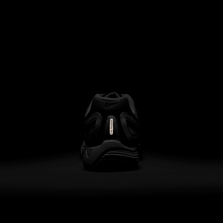 Nike Air Pegasus 2005 Angle 6