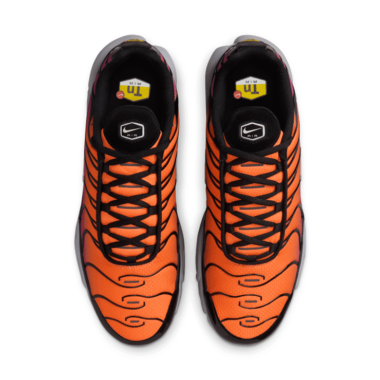 Nike Air Max Plus Angle 1