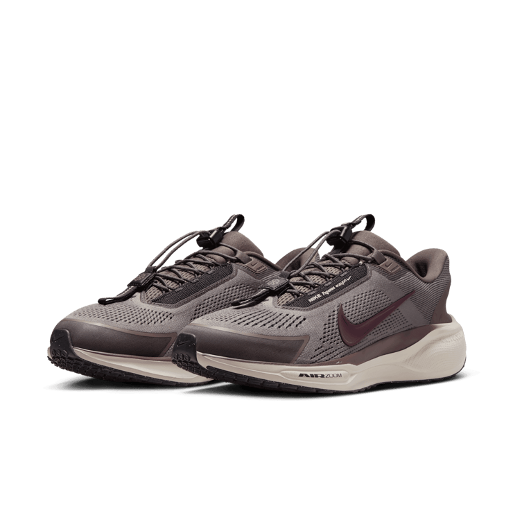 Nike Pegasus EasyOn Road Angle 2