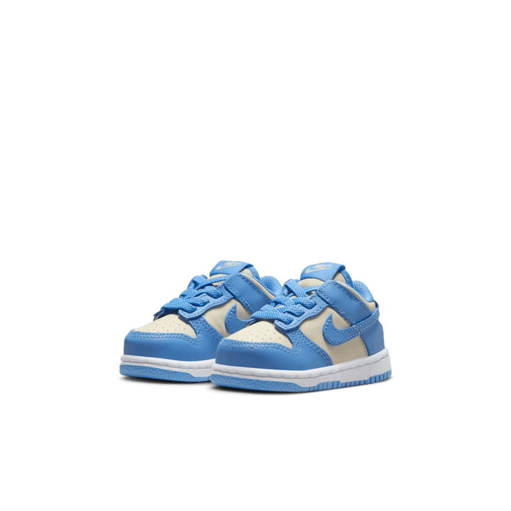 Nike Dunk Low Angle 2
