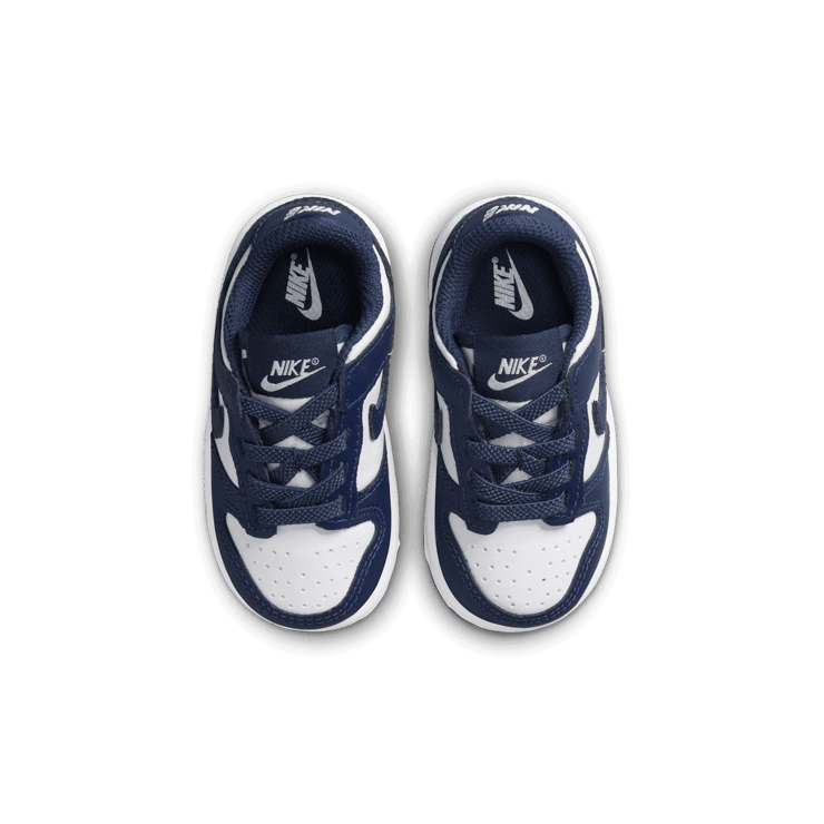 Nike Dunk Low Angle 1