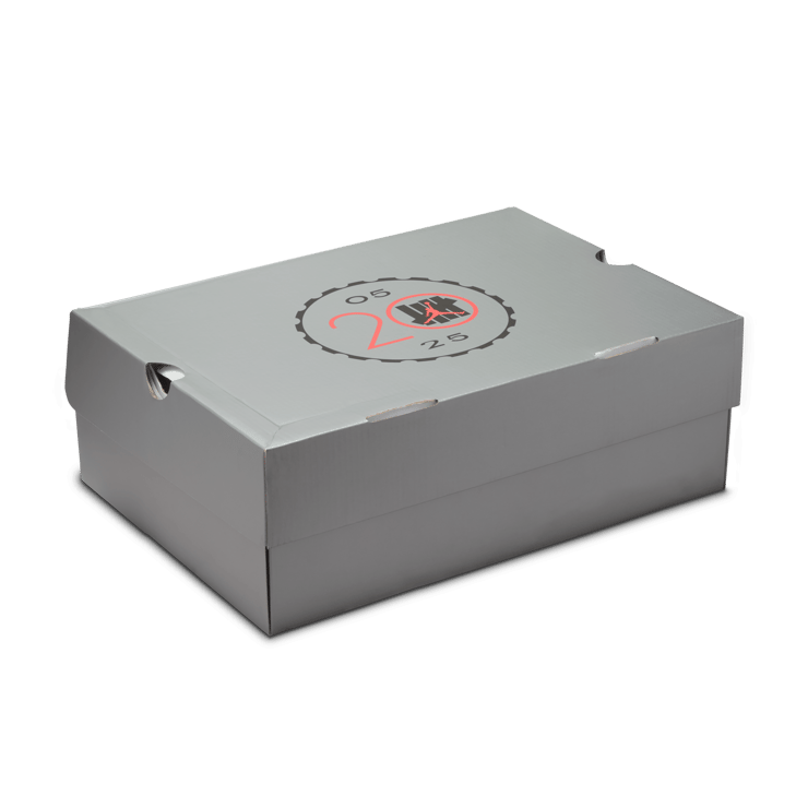 Air Jordan 4 Retro OG SP Undefeated Angle 2