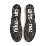 Nike SB Dunk Low Arts-Rec Angle 0