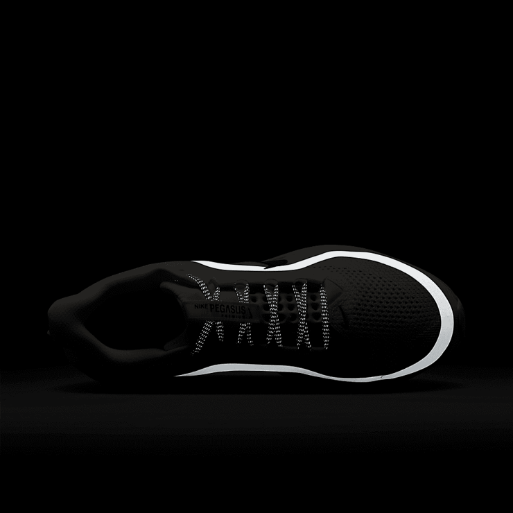 Nike Pegasus Premium Summit White Bright Crimson Angle 5