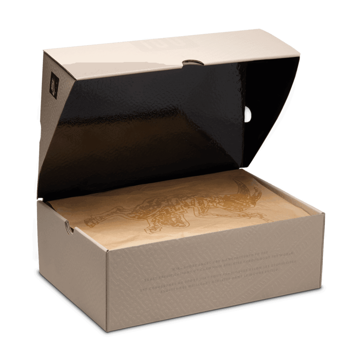 Nike Air 180 PAN Records Angle 7