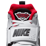 Nike Air DT Proto '92 49ers White Angle 5