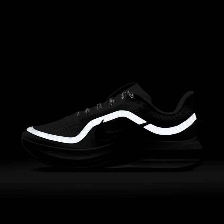 Nike Pegasus Premium After Dark Tour (W) Angle 8