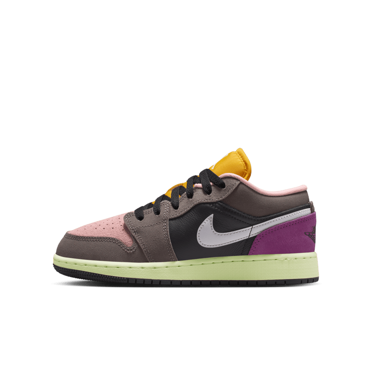 Air Jordan 1 Low SE Biohack 2.0 (GS) Angle 1