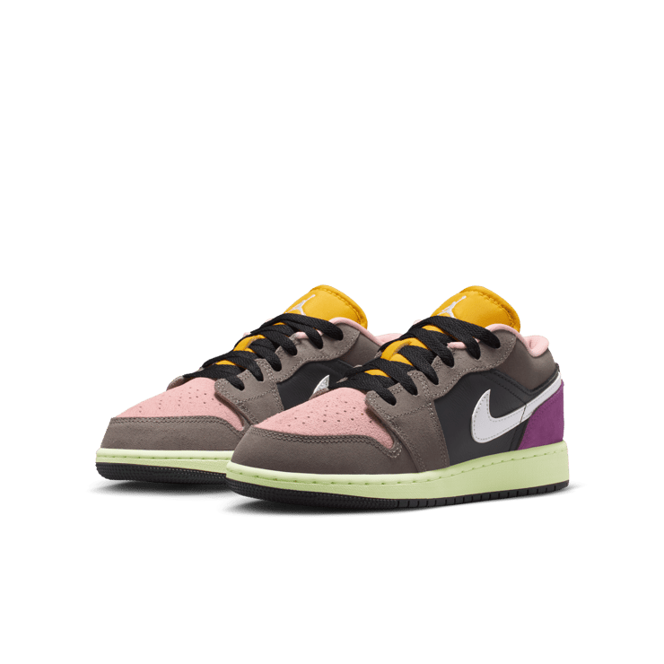 Air Jordan 1 Low SE Biohack 2.0 (GS) Angle 4