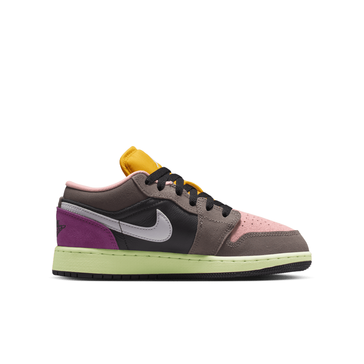 Air Jordan 1 Low SE Biohack 2.0 (GS) Angle 3