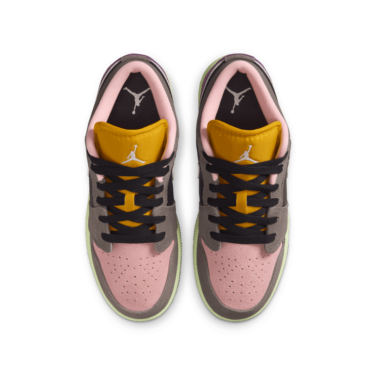 Air Jordan 1 Low SE Biohack 2.0 (GS) Angle 5