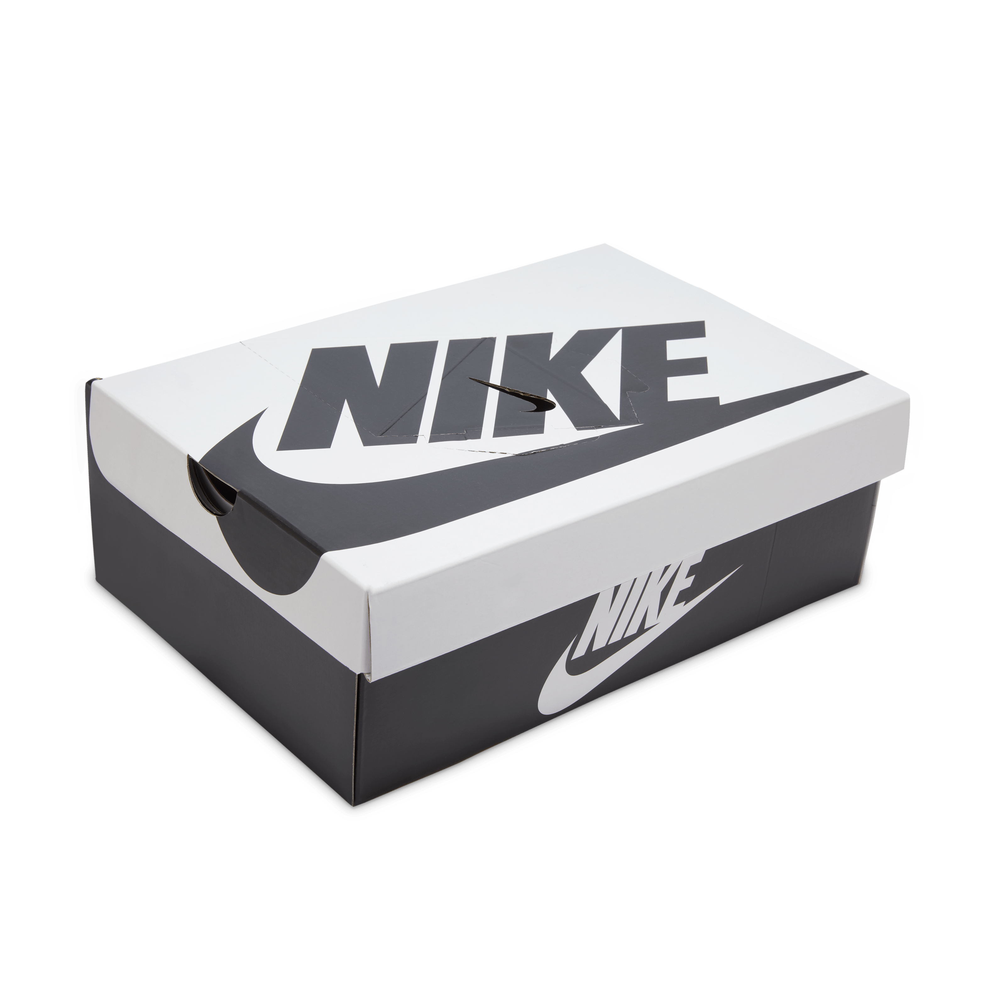 Nike Dunk Low Panda 40th Anniversary Angle 1