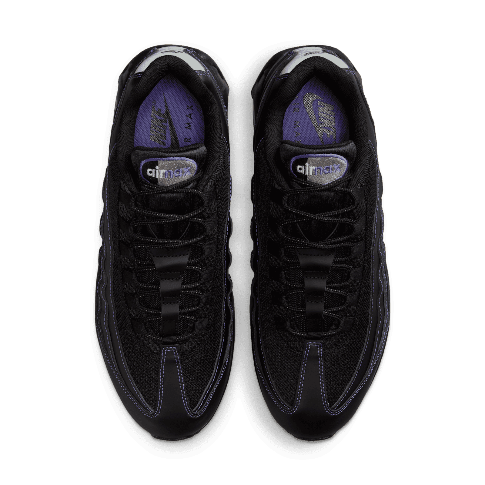 black persian violet