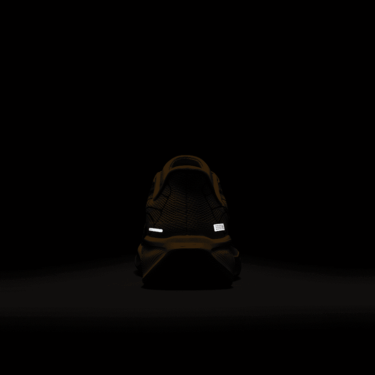 Nike Zoom Pegasus 41 Modern Mayfly Angle 6