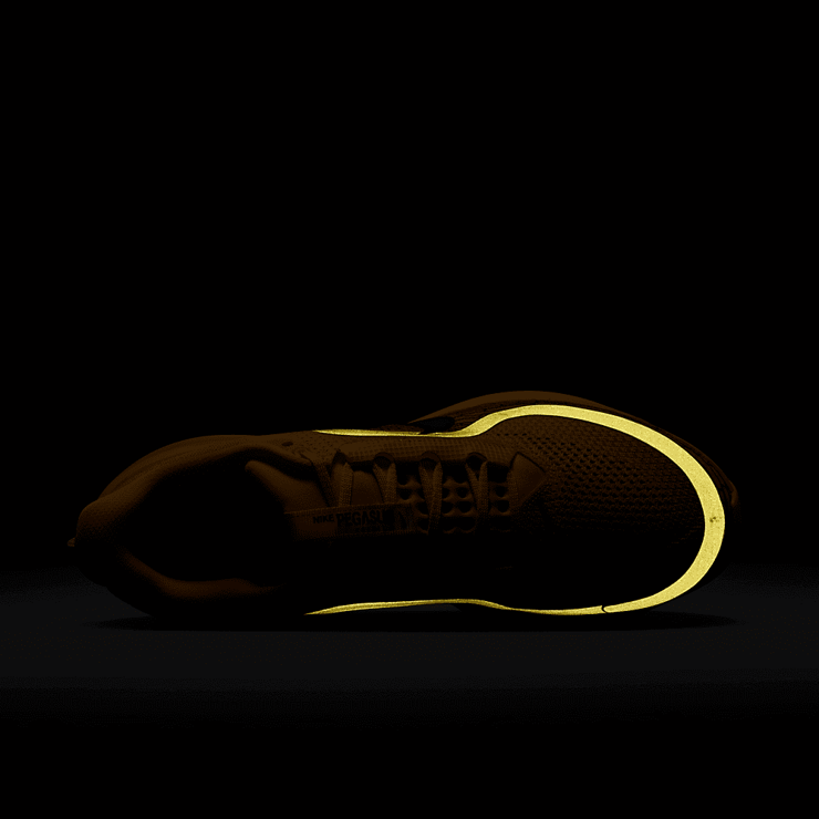 Nike Pegasus Premium Modern Mayfly Angle 5